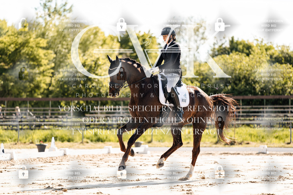 CK909178 | Turnierfotografie Pferdefotografie Trier Rheinland-Pfalz Pferdesport Reitsport Tierfotografie Sportfotografie Pferdevideo Pferdevideografie Equestrianvideography equestrianphotography  - Realisiert mit Pictrs.com