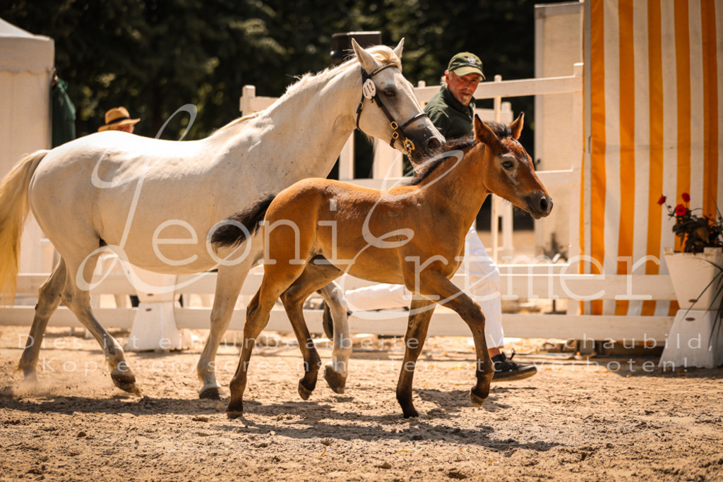 02.DoSR00167 | Leoni Ertmer Photography - Realisiert mit Pictrs.com