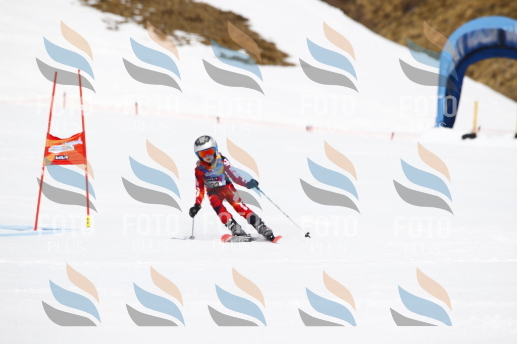 _U3G5245 | holidayphoto