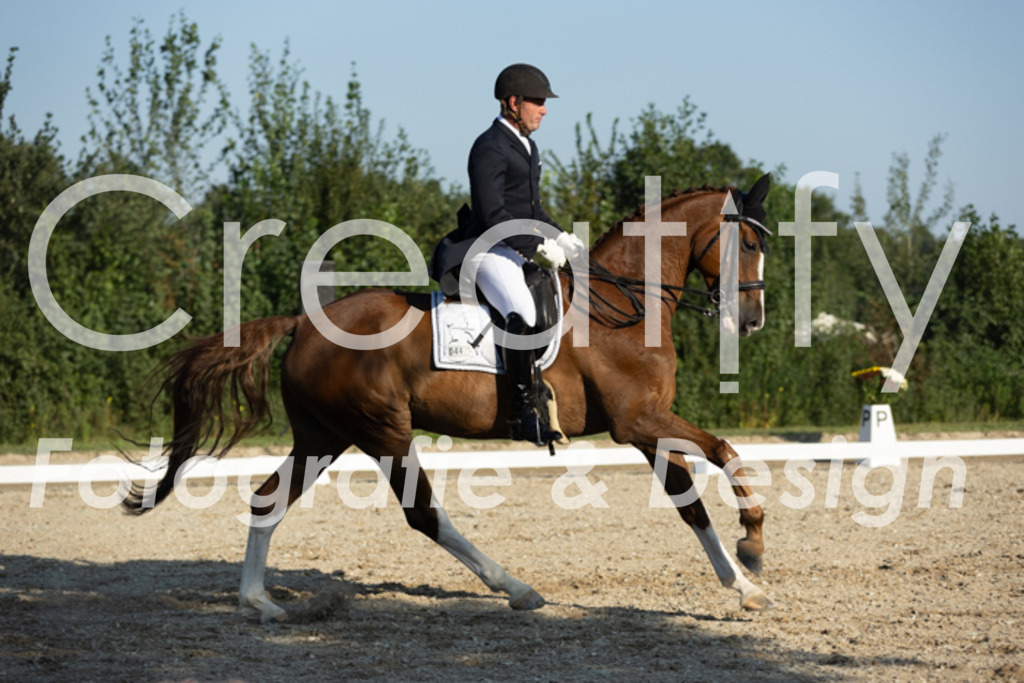 IMG_6817 | Creatify Fotografie