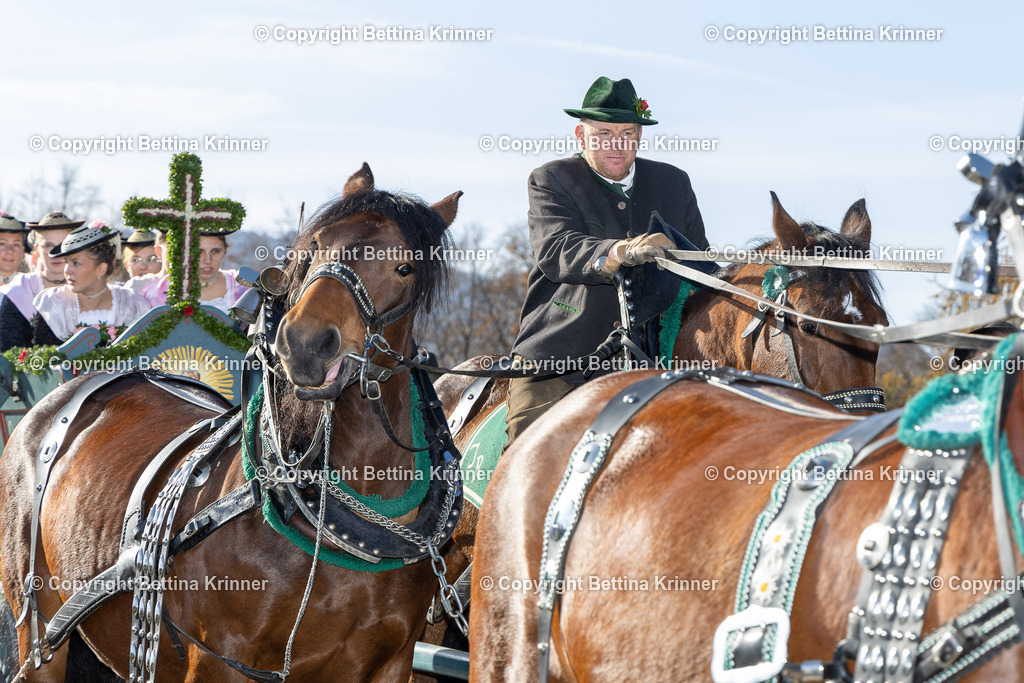 LBT24-1276 | foto-bettina-krinner - Realisiert mit Pictrs.com