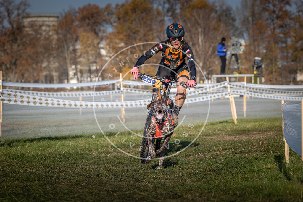 CaniXpix_0L8A4485 | Hundefotografie, Tierfotograf, Pfotenfotografie, Fotoshooting Hund, Hunde Portrait, Hundesport, Hundeportraits, Heideshooting, Hunde, Sportfotograf, Hundefotograf, Turnierhundsport, THS,  - Realisiert mit Pictrs.com