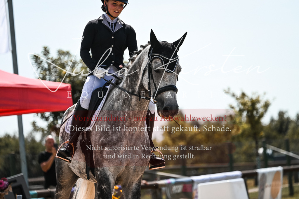 DSC_5569 | Pferde- und Turnierfotografie in Westsachsen. Pferdeportraits, Auftragszeichnungen und intuitive Kunst.