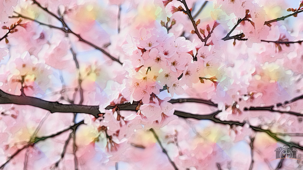 Kirschblüte - 4k - DigiART | Entdecken Sie eine vielfältige Auswahl individueller Fotos zum Kauf auf picturalux.de. Finden Sie hochwertige Bilder für Ihre Projekte, die Ihre Botschaft perfekt unterstreichen. Stöbern Sie jetzt und verleihen Sie Ihren Inhalten das gewisse Etwas! - Realisiert mit Pictrs.com