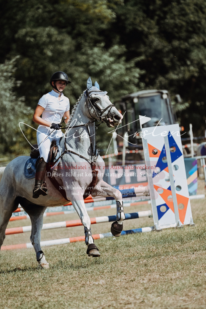 DSC_9575 | Pferde- und Turnierfotografie in Westsachsen. Pferdeportraits, Auftragszeichnungen und intuitive Kunst.