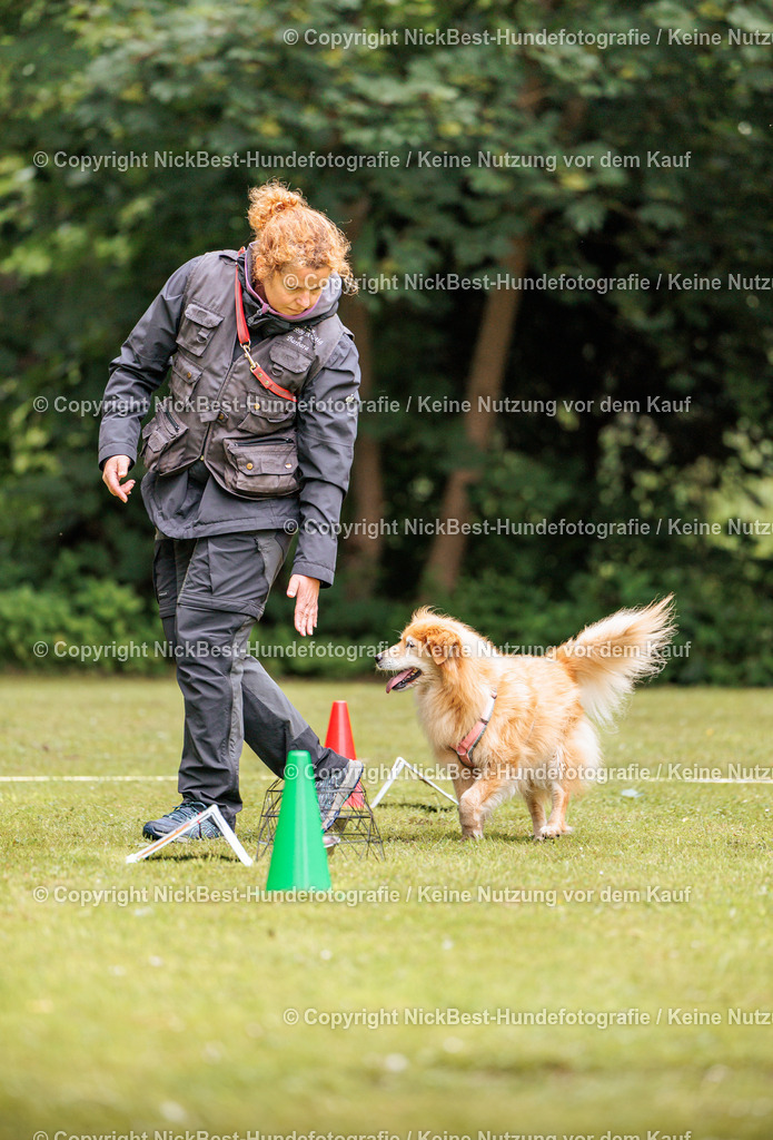RO-Blumenthal-2026-Nickbest-Hundefotografie-1567 | Dein Hund! Dein Moment! Deine Erinnerungen! Hundefotografie in Bremen Blumenthal. Ich fange die besonderen Momente deines Vierbeiners ein – ob Indoor mit Blitzanlage oder in der freien Natur. Sicher dir dein Moment und dein Termin für eure Erinnerungen.