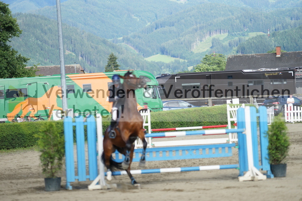 DSC05552 | equestrian-live-com