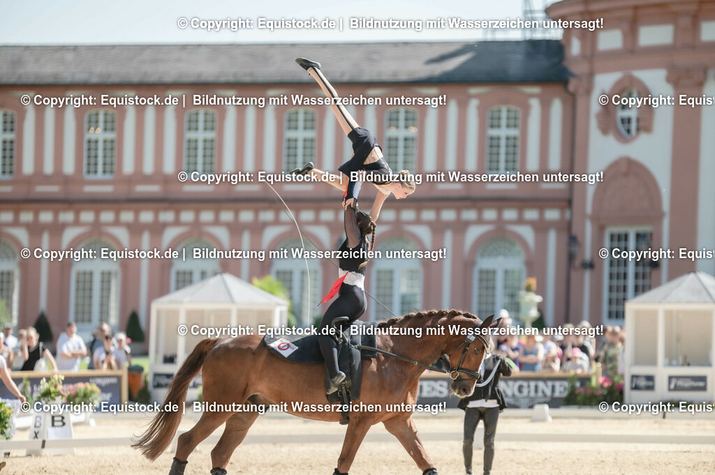 20230528_Voltigieren_NASPA_0556 | equistock