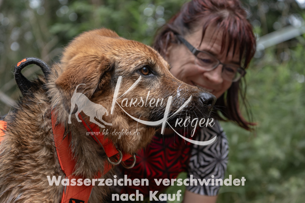 1335_ZZ94857 | kk-dogfotos