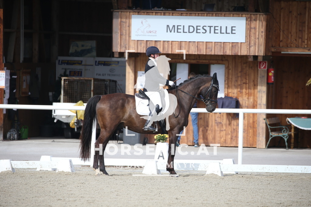 DL2Q2247 | Willkommen bei Brunnmayr - Design & Fotografie – Ihrem Spezialisten für Reitturniere und Pferdeveranstaltungen in Oberösterreich, Salzburg und Bayern! Seit über 17 Jahren sind wir leidenschaftlich dabei.