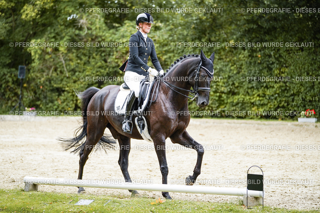 DSC01540 | Pferdegrafie