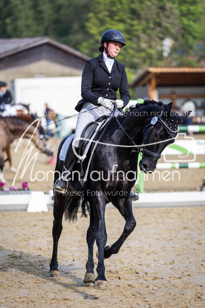 Donop24-A-Dre-088 | MomenTaufnahmen Pferdesportfotos