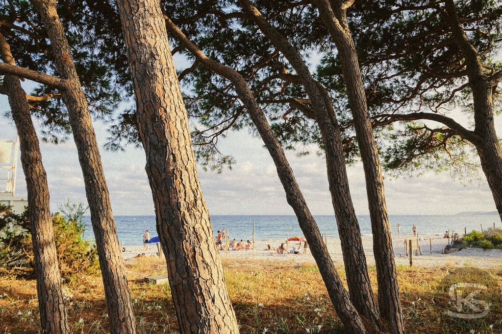 Idyllischer Sandstrand auf Korsika mit kristallklarem Wasser, mediterraner Landschaft und Pinienbäumen | Ein ruhiger, sonnenverwöhnter Sandstrand auf Korsika mit türkisblauem Meer, sanften Wellen und grüner Hügellandschaft im Hintergrund – perfekte Kulisse für einen entspannten Tag in der Natur. - Realisiert mit Pictrs.com