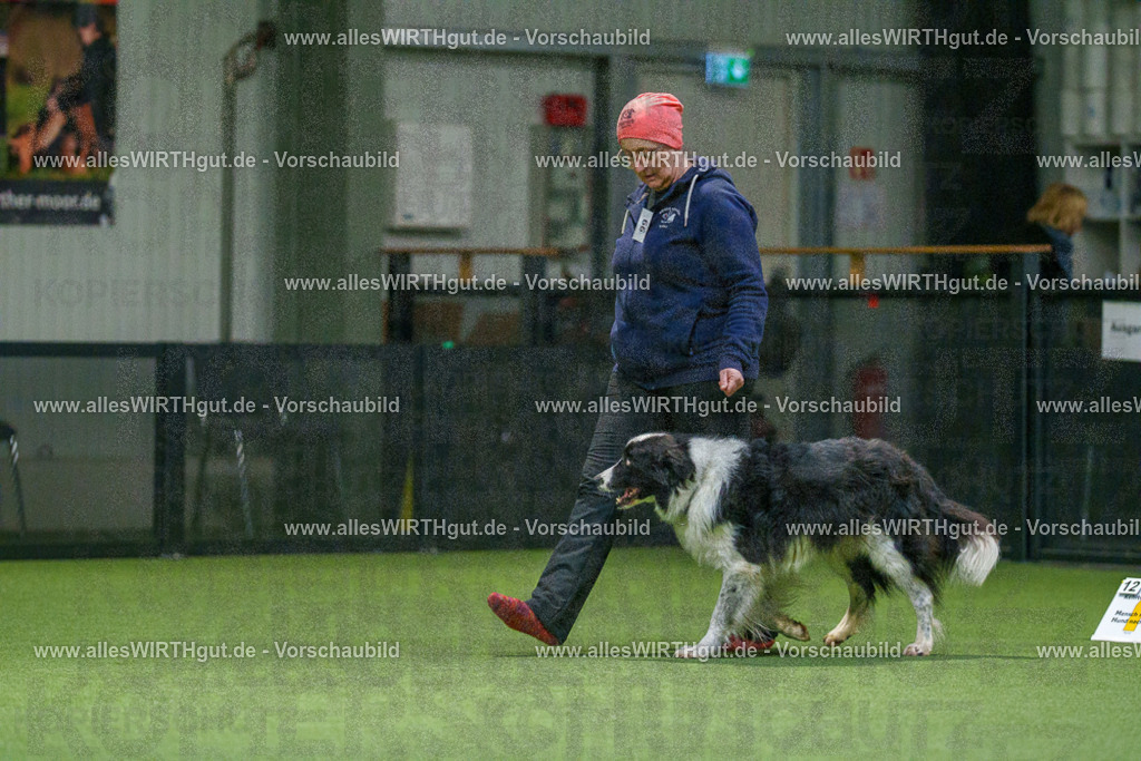 7R504581 | Professionelle Tierfotografie in Mönchengladbach von Daniel Wirth (allesWIRTHgut). Liebevolle & natürliche Bilder von Hunden & Katzen für unvergessliche Erinnerungen.