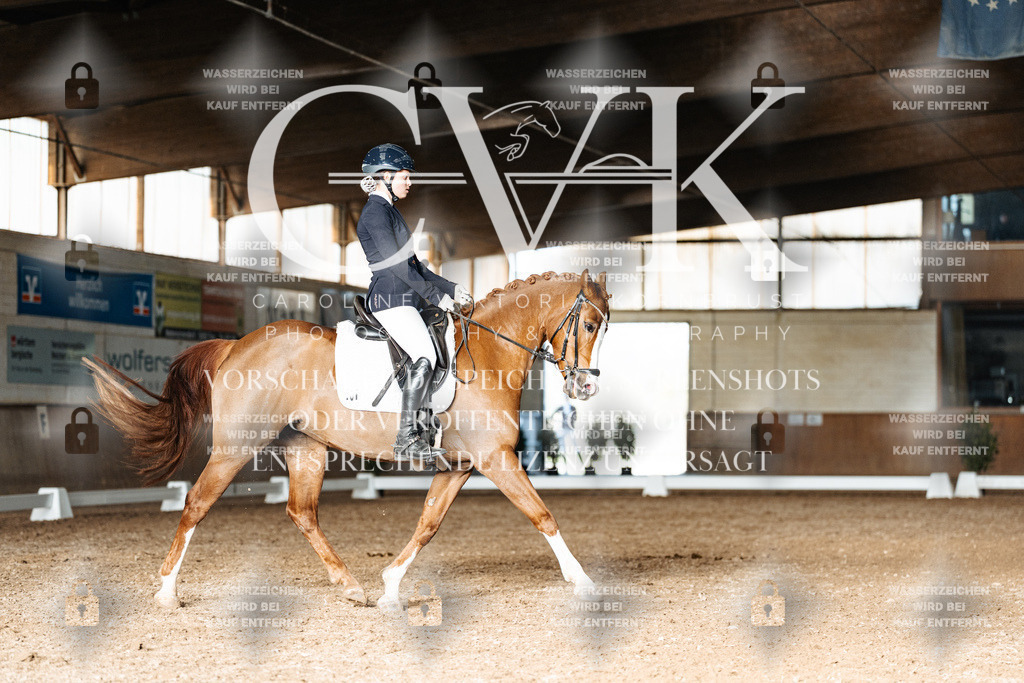 CK902983 | Turnierfotografie Pferdefotografie Trier Rheinland-Pfalz Pferdesport Reitsport Tierfotografie Sportfotografie Pferdevideo Pferdevideografie Equestrianvideography equestrianphotography  - Realisiert mit Pictrs.com