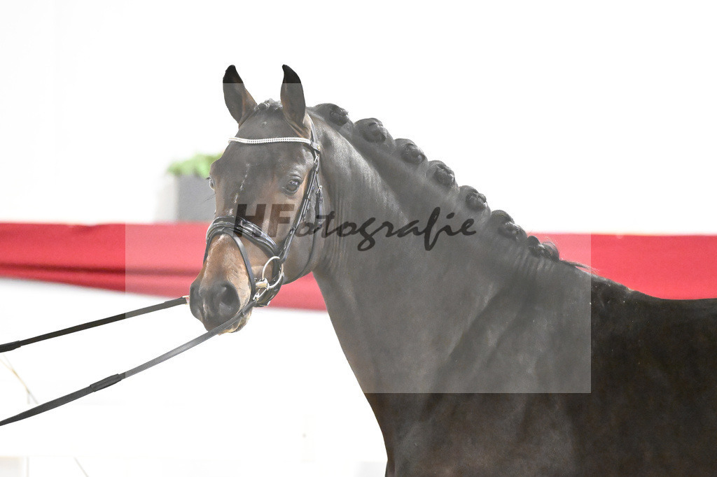 Kat-Nr. 32 v. Uno I_Koegler_63220871 | hf-fotografie - Realisiert mit Pictrs.com