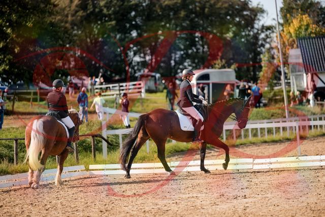 2026_10_03_Siefer-Hof_130458_Z63_68049004 | Professionelle Reitsport-, Turnier- und Eventfotografie von Robert Broda. Galerien mit ausgewählten und bearbeiteten Bildern direkt online ansehen und bestellen.
