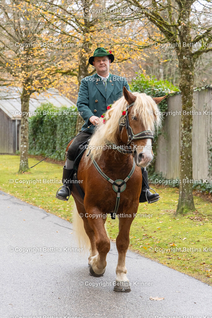 LL25-230 | foto-bettina-krinner - Realisiert mit Pictrs.com