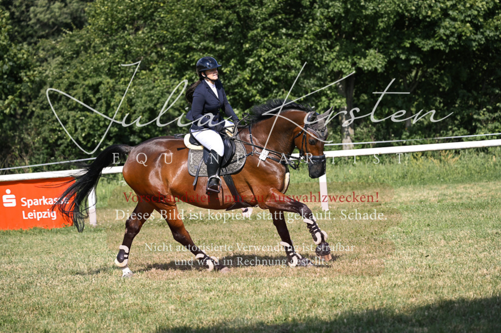 DSC_1174 | Pferde- und Turnierfotografie in Westsachsen. Pferdeportraits, Auftragszeichnungen und intuitive Kunst.