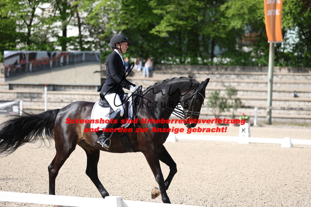 A40A3792 | lmwpictures - Realisiert mit Pictrs.com