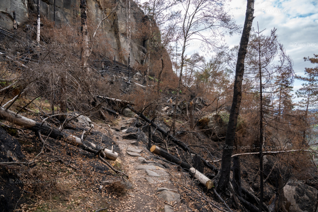 Obere_Affensteinpromenade_Felswand_Waldbrand_Weg | 2022-09-02_Waldbrandgebiete_2 - Realisiert mit Pictrs.com