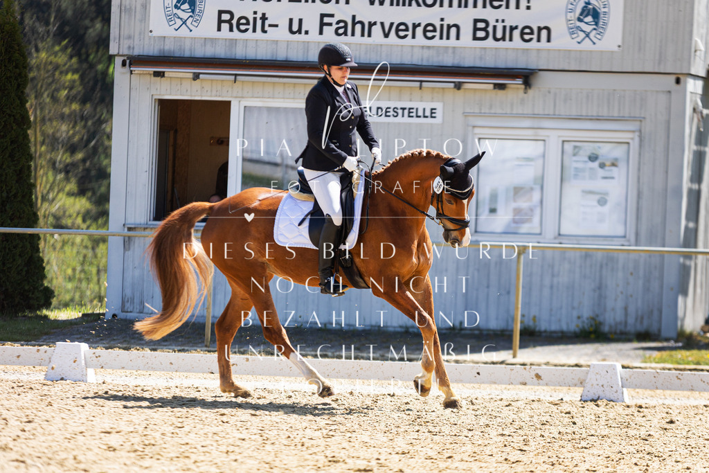 IMGT2237 | pl-fotografie