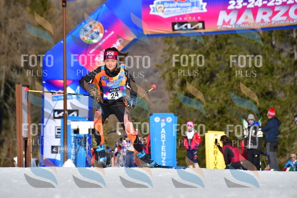 _DSC8825 | holidayphoto