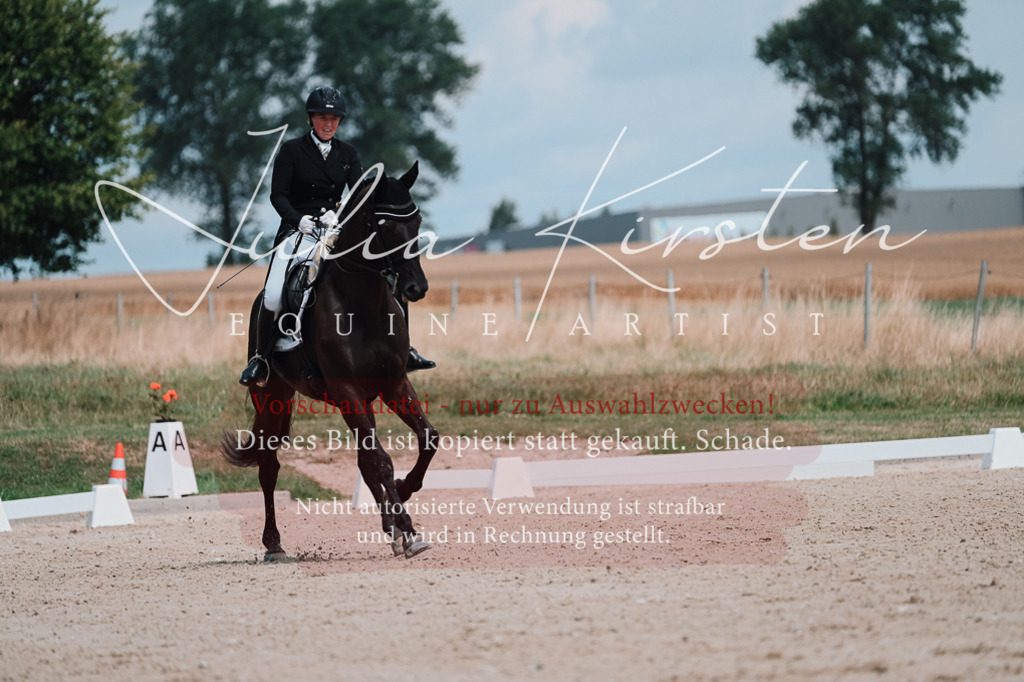 DSC_4277 | Pferde- und Turnierfotografie in Westsachsen. Pferdeportraits, Auftragszeichnungen und intuitive Kunst.