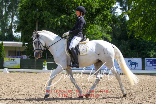 DKP42592 | Turniersportfotografie; Pferdefotografie; Dressurfotografie