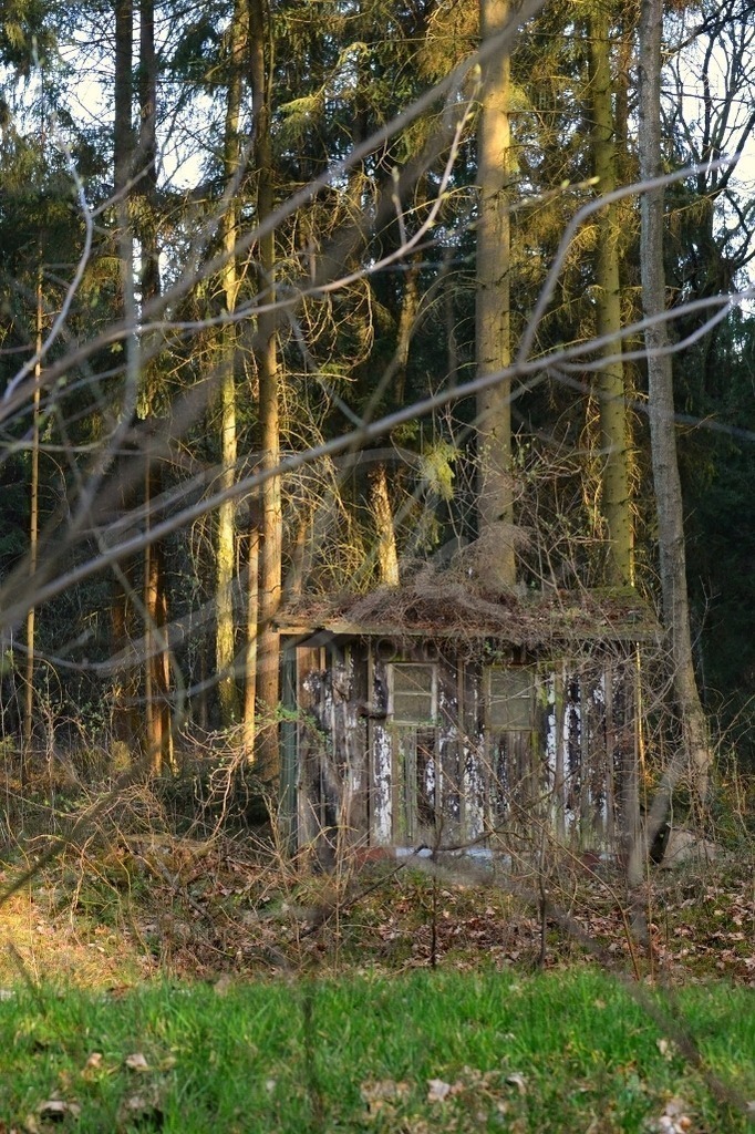 NatureArt-WALDHÜTTE_9362c | Die Hüttentür lebt | #001 | Modell: Rebekka | Foto: Thorsten Ohmacht - Realisiert mit Pictrs.com