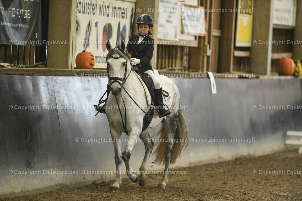20231029_02_Reiter-WB_Schritt-Trab-Galopp_Abteilung-03_0053 | Foto: Thomas Hartig