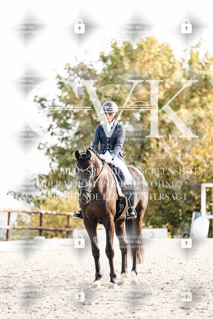 CK901158 | Turnierfotografie Pferdefotografie Trier Rheinland-Pfalz Pferdesport Reitsport Tierfotografie Sportfotografie Pferdevideo Pferdevideografie Equestrianvideography equestrianphotography  - Realisiert mit Pictrs.com