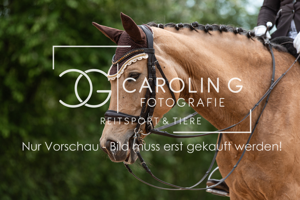 DSC_3094 | Turnierfotografin Carolin Gieschke, Turnierfotografie Carolin G Fotografie, Turnierfotos Kirchheim/Teck, Esslingen, Stuttgart, Bodenseekreis