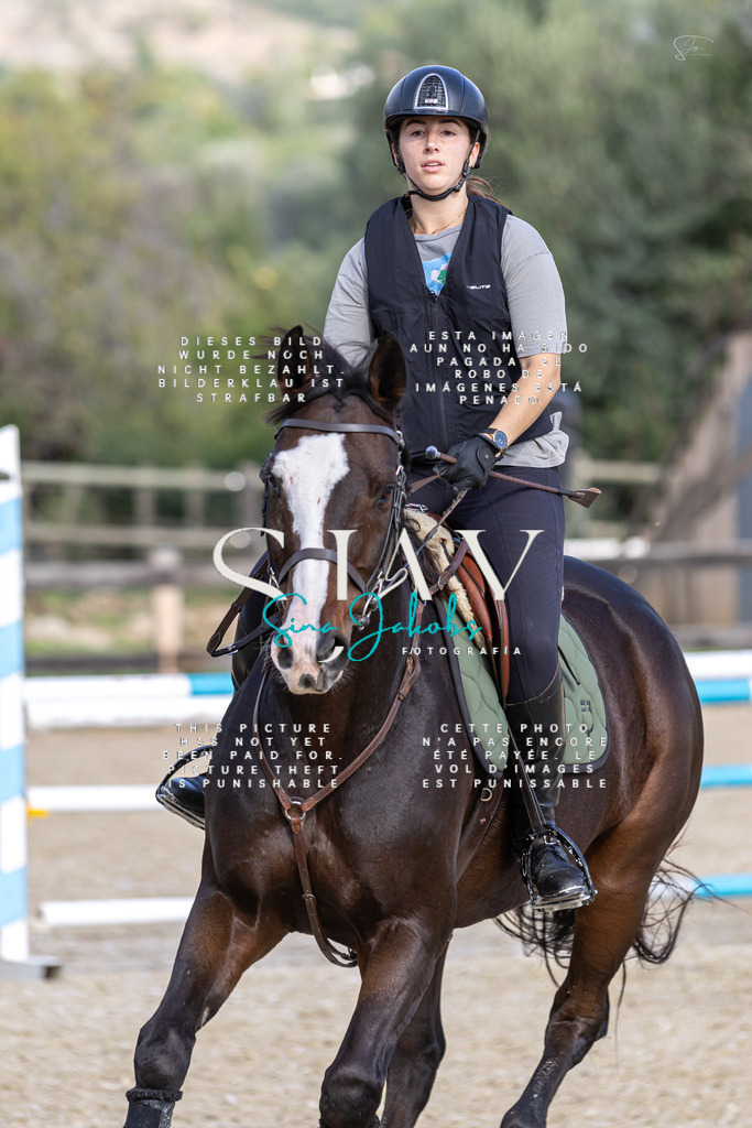 IMG_3646 | s-jay-photography - Realisiert mit Pictrs.com