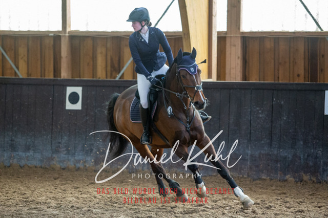 IMG_2032 | Turniersportfotografie; Pferdefotografie; Dressurfotografie