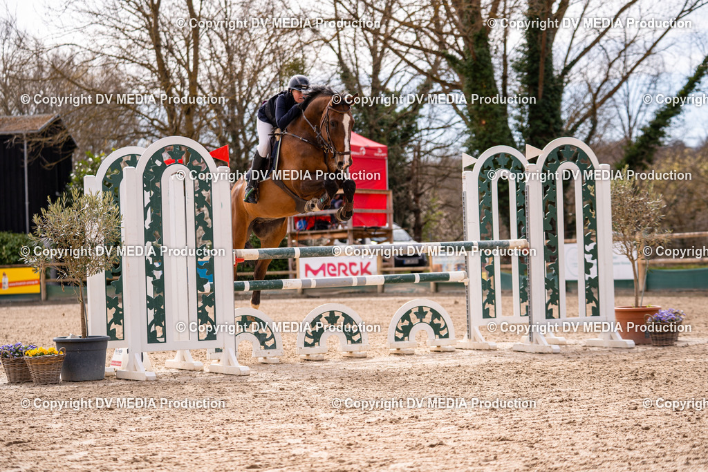 Kranichstein Tag 2-596 | dv-media-shop - Realisiert mit Pictrs.com