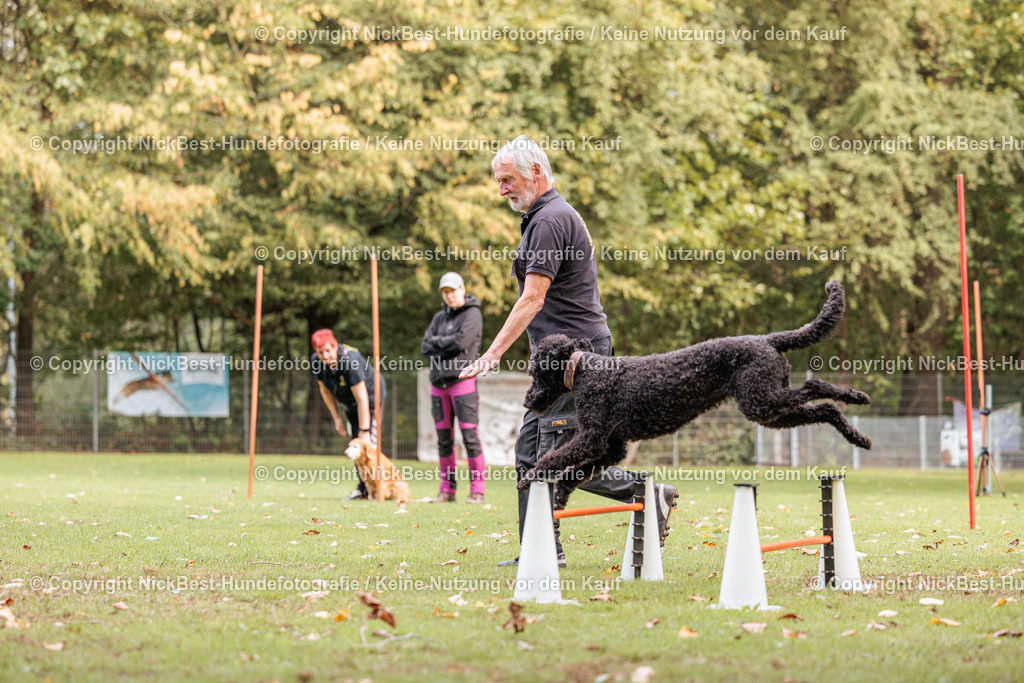 THS-HSV-Blumenthal-2026-Nickbest-Hundefotografie-4760 | Dein Hund! Dein Moment! Deine Erinnerungen! Hundefotografie in Bremen Blumenthal. Ich fange die besonderen Momente deines Vierbeiners ein – ob Indoor mit Blitzanlage oder in der freien Natur. Sicher dir dein Moment und dein Termin für eure Erinnerungen.