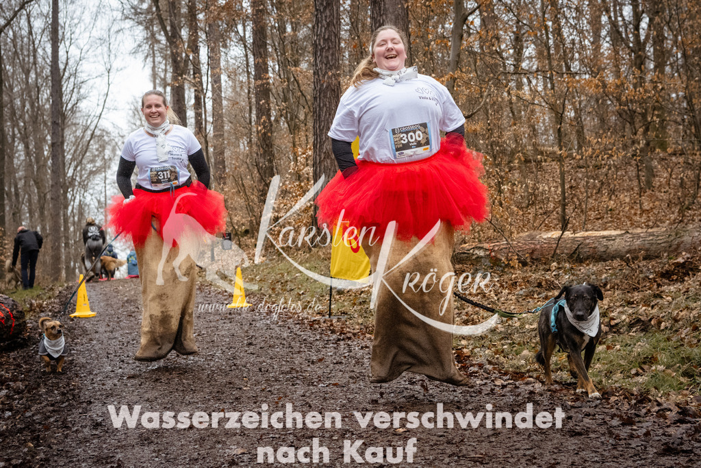 1212_ZZ94503 | kk-dogfotos
