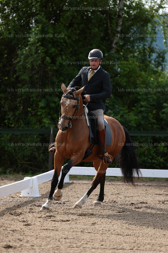Masterclass_stoibphotography_C2_L4628.JPG | working equitationturnier fotograf videograf stoibphotography marixx film working equitation deutschland reitsport turnierfotografie eventfotografie equestrian events