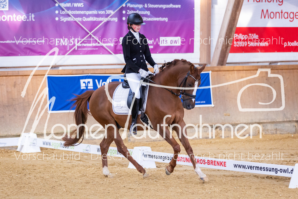 Sth-A-Dre-1St-265 | MomenTaufnahmen Pferdesportfotos