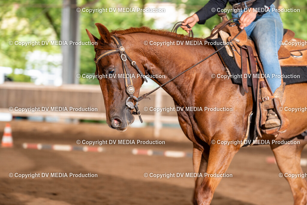 Erbach Tag 1-333 | dv-media-shop - Realisiert mit Pictrs.com