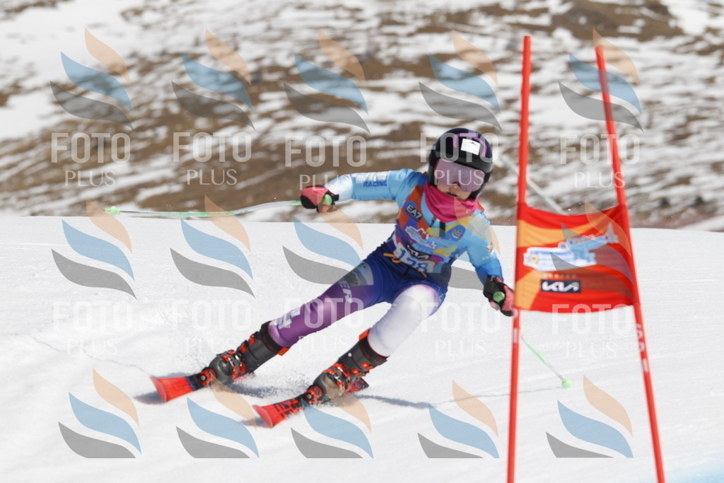 _U3G0841 | holidayphoto