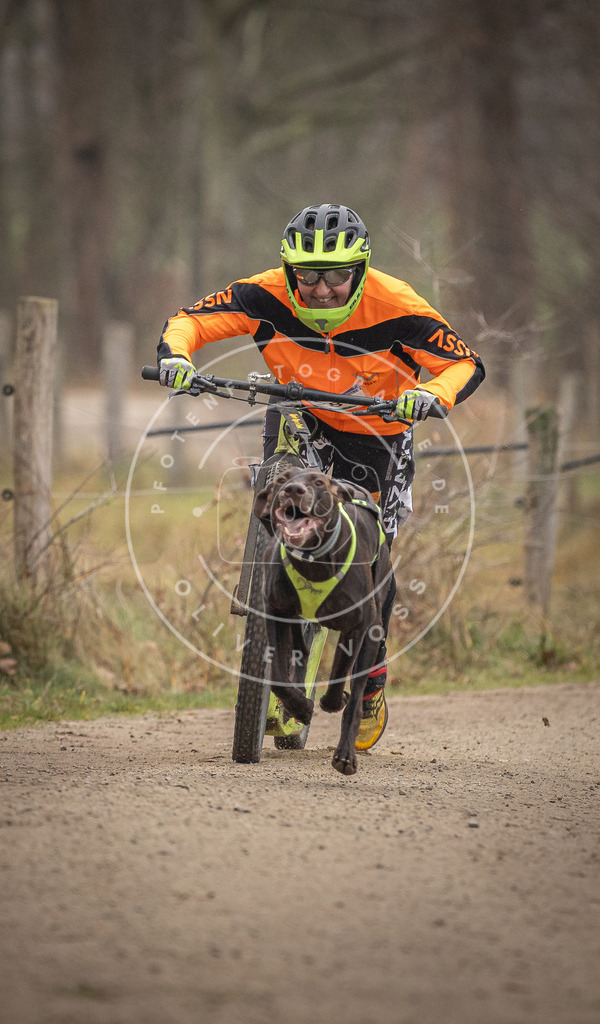 Pfotenfotografie_DV3A2181 | Hundefotografie, Tierfotograf, Pfotenfotografie, Fotoshooting Hund, Hunde Portrait, Hundesport, Hundeportraits, Heideshooting, Hunde, Sportfotograf, Hundefotograf, Turnierhundsport, THS,  - Realisiert mit Pictrs.com