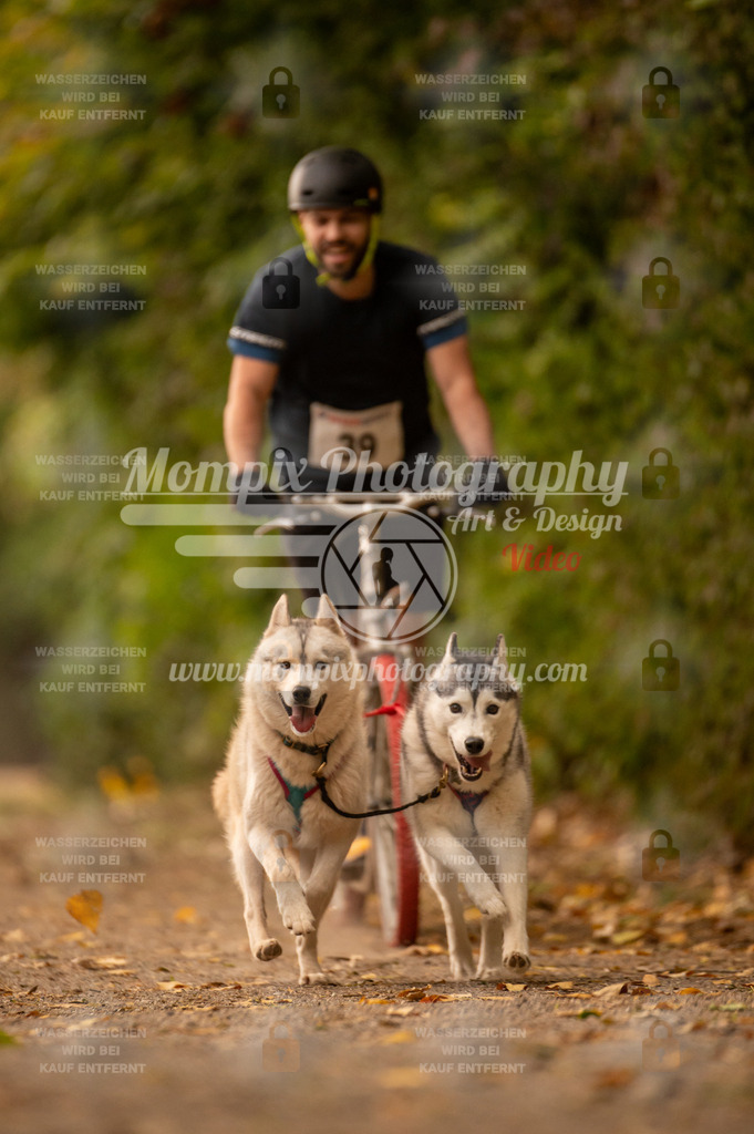 CDLBDB_14_10_2023_Samedi-54 | PayLife