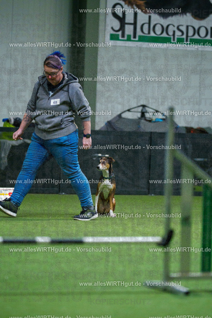 7R503793 | Professionelle Tierfotografie in Mönchengladbach von Daniel Wirth (allesWIRTHgut). Liebevolle & natürliche Bilder von Hunden & Katzen für unvergessliche Erinnerungen.