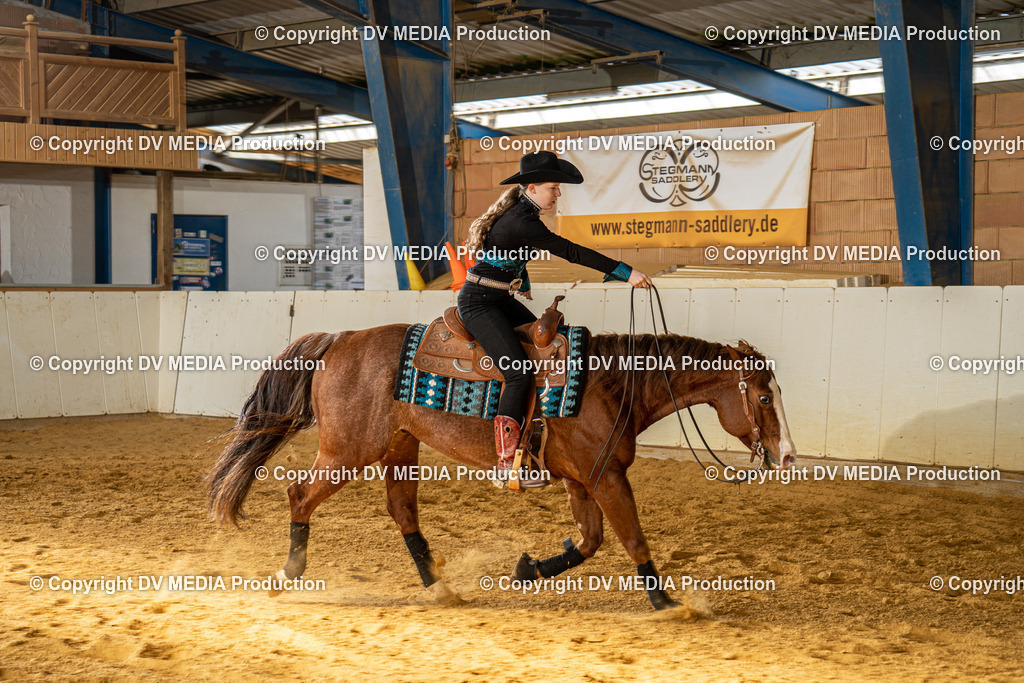 MIT00964 | dv-media-shop - Realisiert mit Pictrs.com