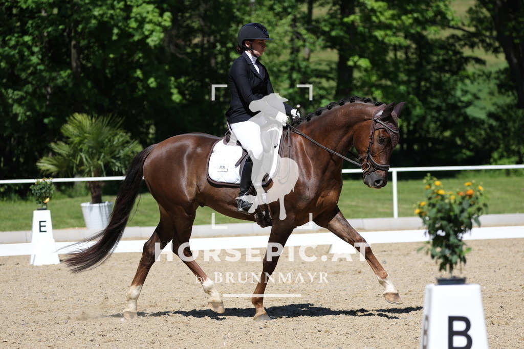 0P6A1475 | Willkommen bei Brunnmayr - Design & Fotografie – Ihrem Spezialisten für Reitturniere und Pferdeveranstaltungen in Oberösterreich, Salzburg und Bayern! Seit über 17 Jahren sind wir leidenschaftlich dabei.
