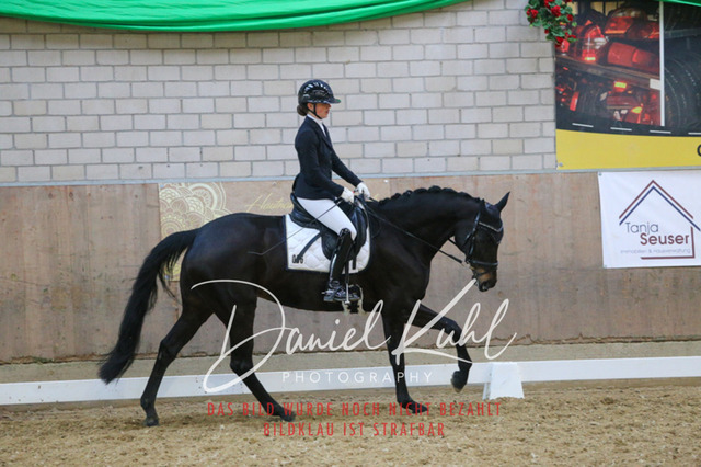 IMG_2926 | Turnierfotos kaufen im Webshop von Daniel Kuhl Photography – entdecke professionelle Reitsportfotos aus Turnieren & Events. Hochwertige Turnierbilder online bestellen & sichern. Jetzt Fotos von Reitsportturnieren kaufen!