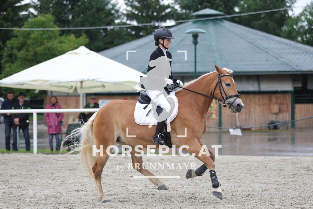 0P6A7954 | Willkommen bei Brunnmayr - Design & Fotografie – Ihrem Spezialisten für Reitturniere und Pferdeveranstaltungen in Oberösterreich, Salzburg und Bayern! Seit über 17 Jahren sind wir leidenschaftlich dabei.