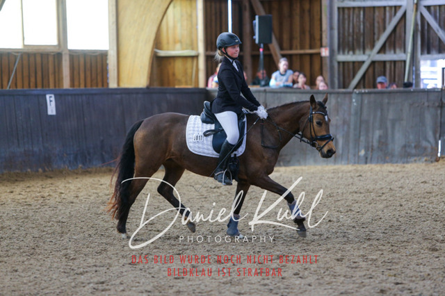 IMG_1071 | Turniersportfotografie; Pferdefotografie; Dressurfotografie